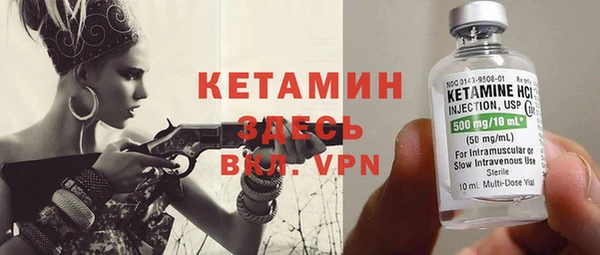 крисы Ельня