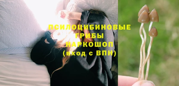 крисы Ельня
