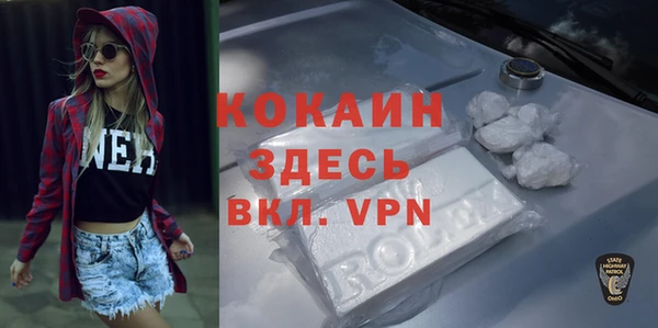 дживик Елизово