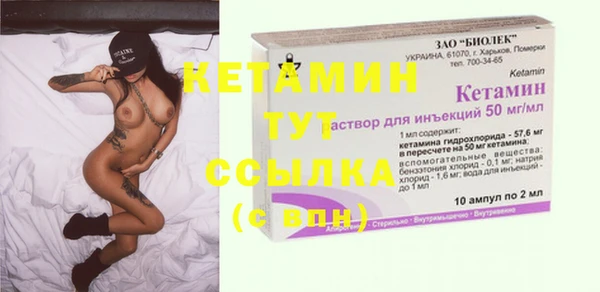 крисы Ельня