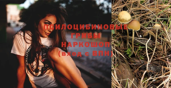 крисы Ельня