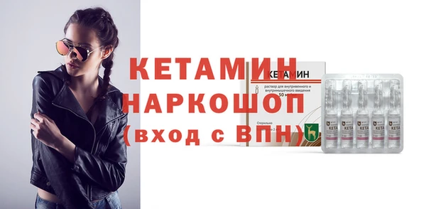 крисы Ельня