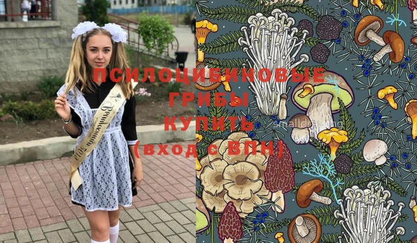 крисы Ельня