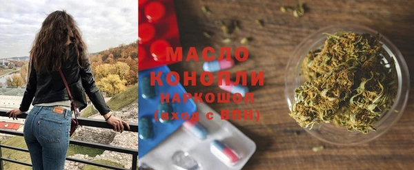 крисы Ельня