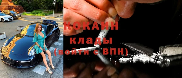 крисы Ельня