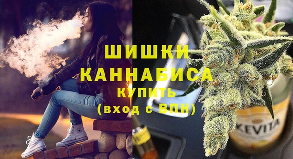 дживик Елизово