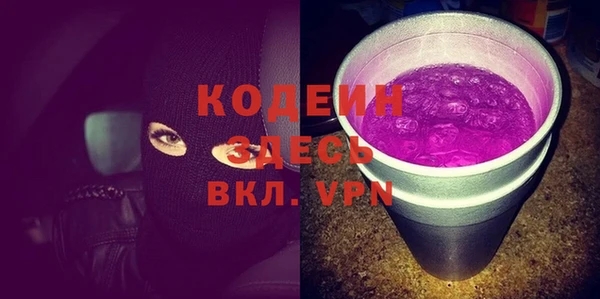 крисы Ельня