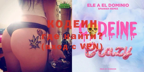 крисы Ельня